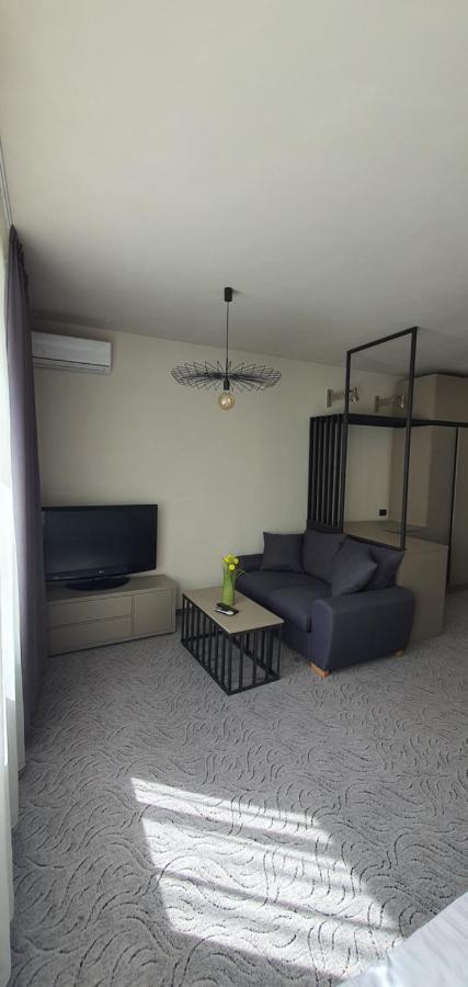 Casa Achim Hotel Baia Mare Bagian luar foto