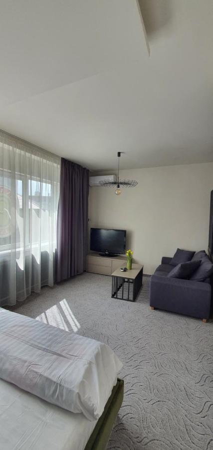 Casa Achim Hotel Baia Mare Bagian luar foto
