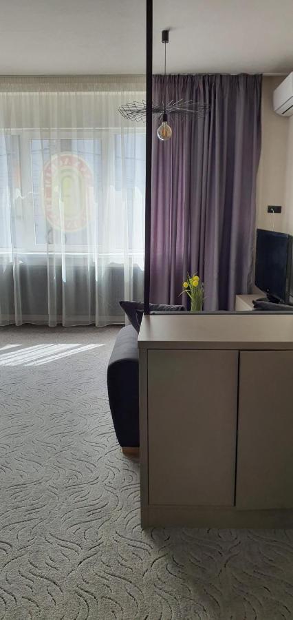 Casa Achim Hotel Baia Mare Bagian luar foto