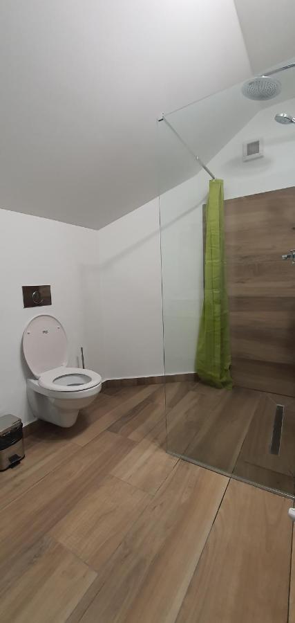 Casa Achim Hotel Baia Mare Bagian luar foto